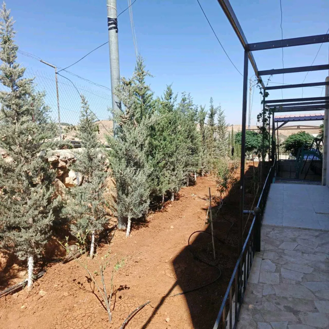 مزرعة/شاليه في "مزرعة وشاليه اللؤلؤة... THE PEARL"،  شاليه جديد  - 185,000 دأ - صورة 1