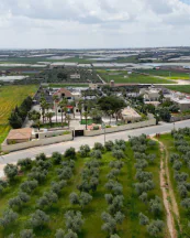أرض في عمان - برازين السامك - 87,500 دأ - صورة NaN
