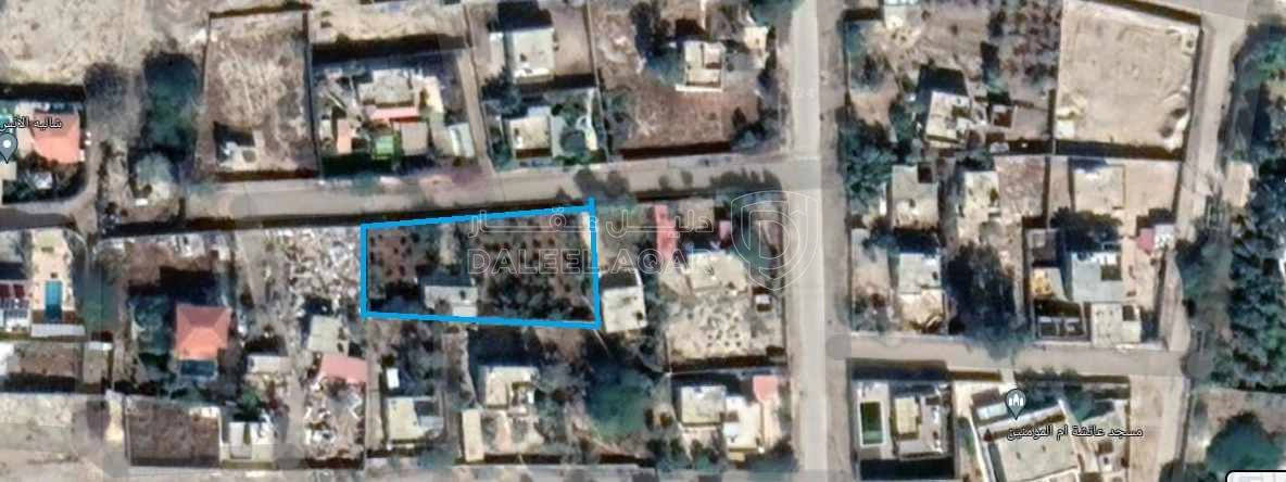 أرض في للبيع قطعتين متجاورتين عليهما سور واحد ٩٧٥ و ٩٧٦ - 50,000 دأ - صورة 1