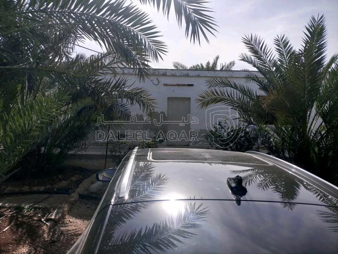 أرض في للبيع قطعتين متجاورتين عليهما سور واحد ٩٧٥ و ٩٧٦ - 50,000 دأ - صورة 1