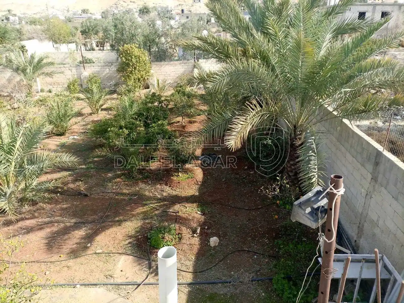 أرض في للبيع قطعتين متجاورتين عليهما سور واحد ٩٧٥ و ٩٧٦ - 50,000 دأ - صورة 1