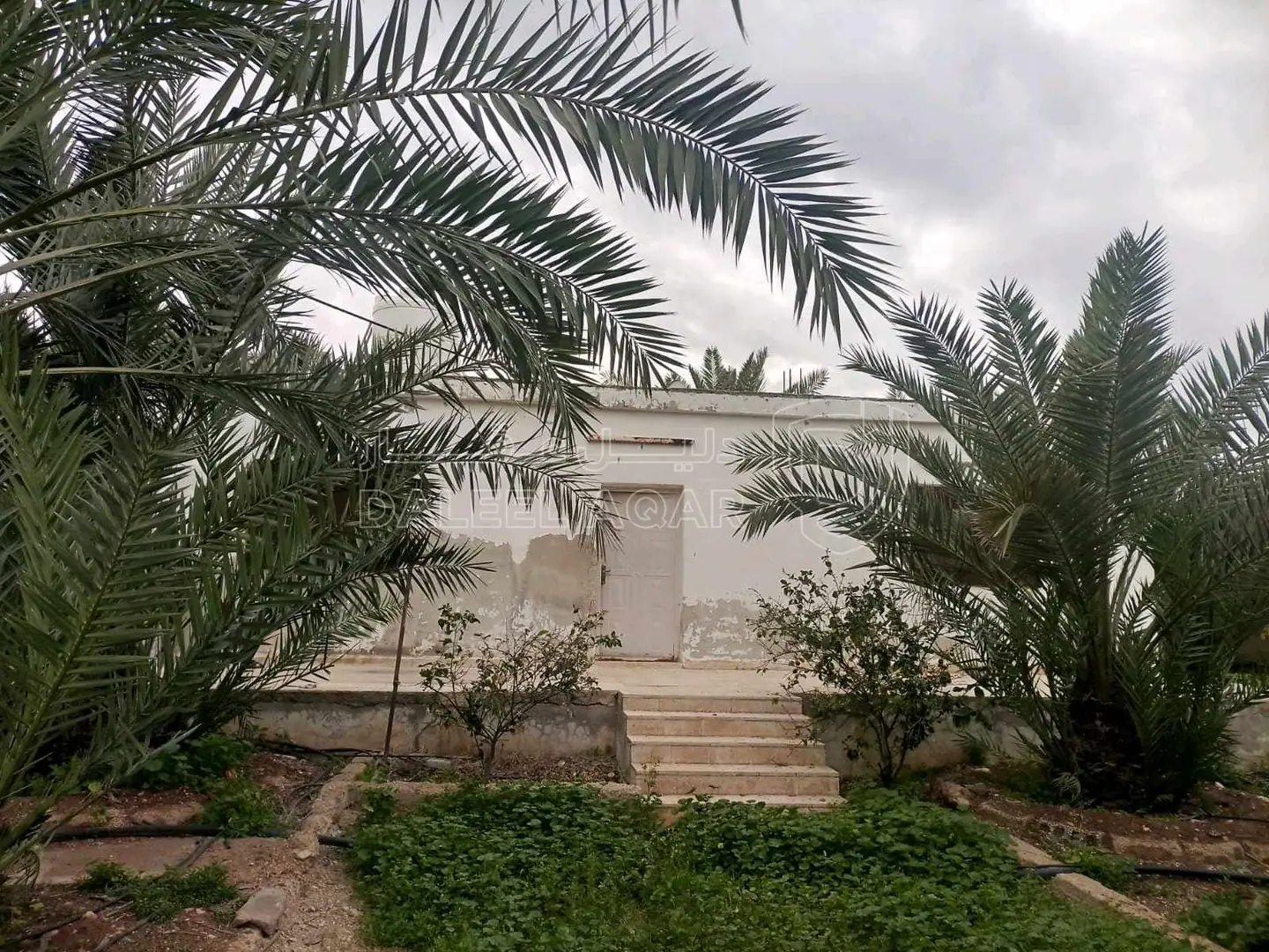 أرض في للبيع قطعتين متجاورتين عليهما سور واحد ٩٧٥ و ٩٧٦ - 50,000 دأ - صورة 1