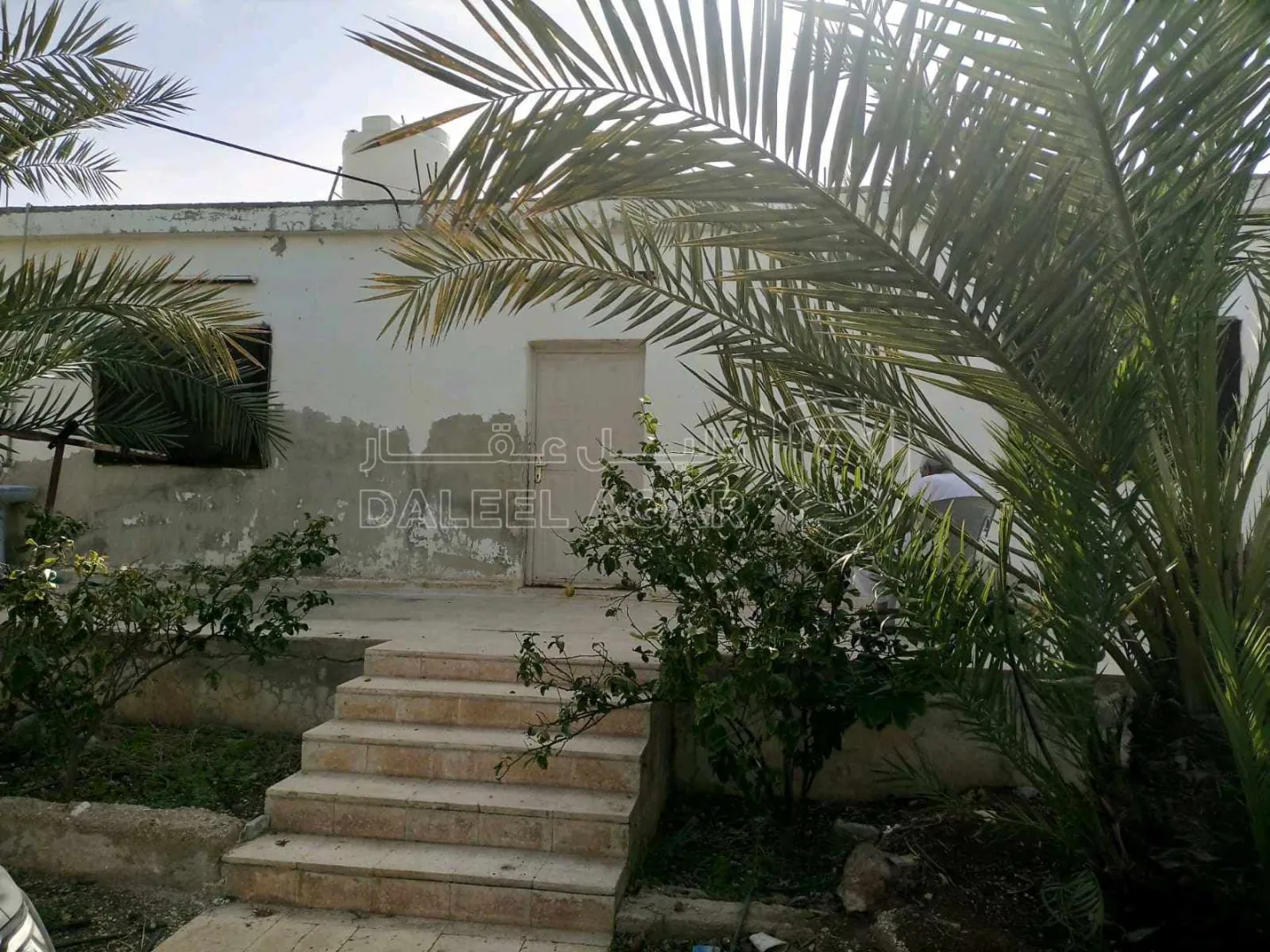 أرض في للبيع قطعتين متجاورتين عليهما سور واحد ٩٧٥ و ٩٧٦ - 50,000 دأ - صورة 1