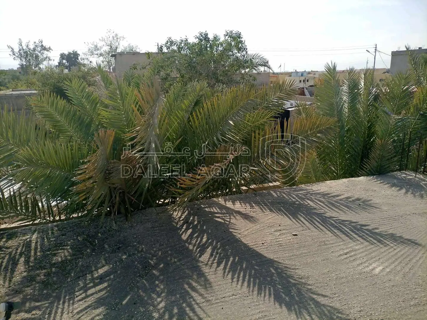 أرض في للبيع قطعتين متجاورتين عليهما سور واحد ٩٧٥ و ٩٧٦ - 50,000 دأ - صورة 1