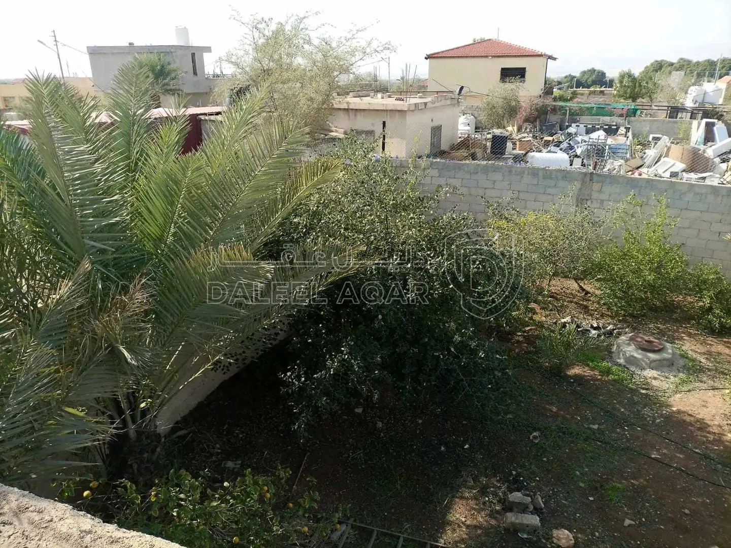 أرض في للبيع قطعتين متجاورتين عليهما سور واحد ٩٧٥ و ٩٧٦ - 50,000 دأ - صورة 1