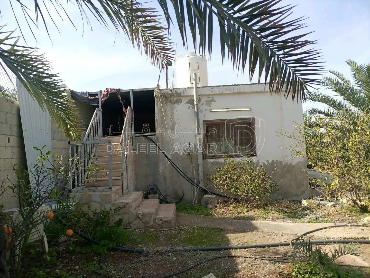 أرض في للبيع قطعتين متجاورتين عليهما سور واحد ٩٧٥ و ٩٧٦ - 50,000 دأ - صورة 1