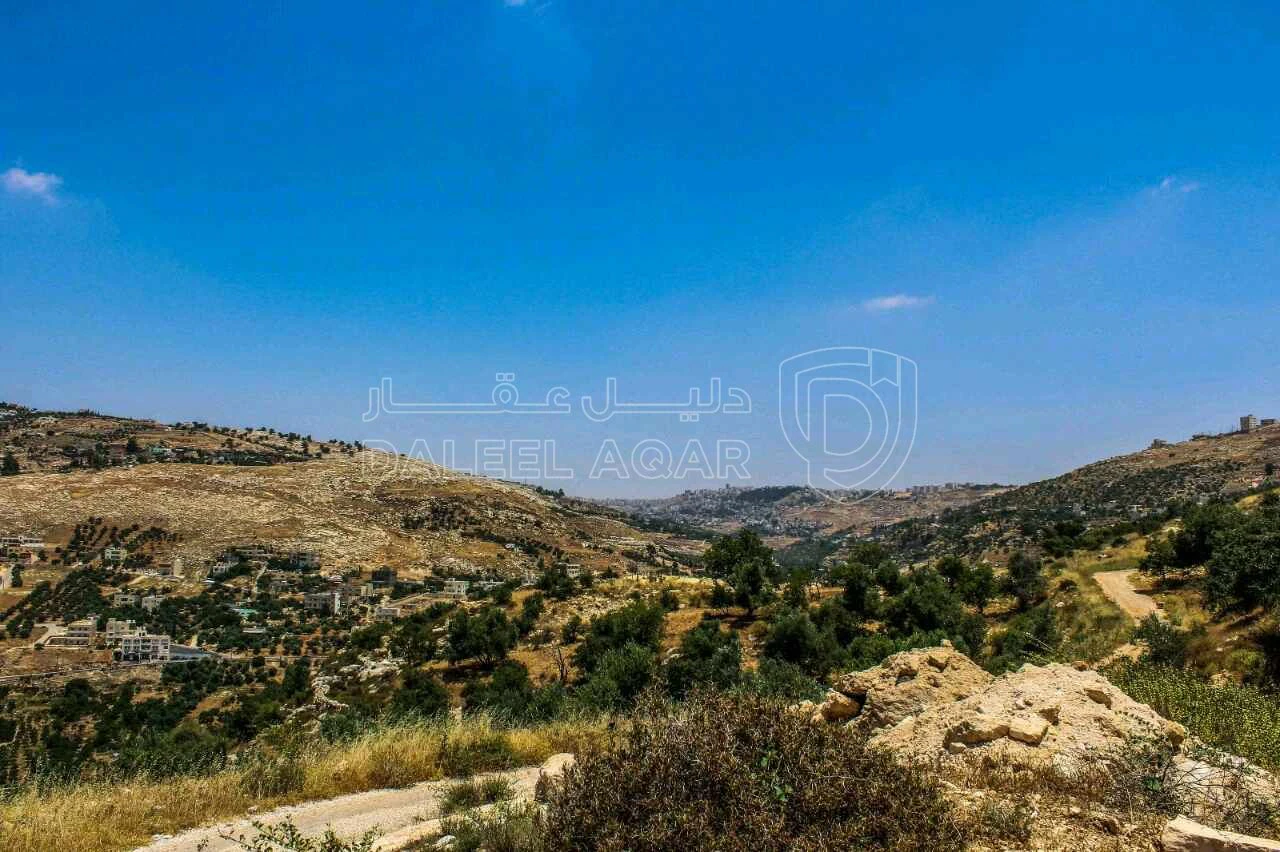أرض في عمان وادي السير البصة - 350,000 دأ - صورة 1