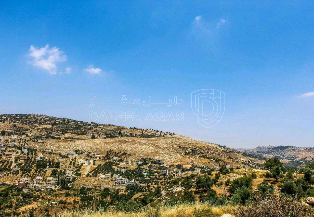 أرض في عمان وادي السير البصة - 350,000 دأ - صورة 1