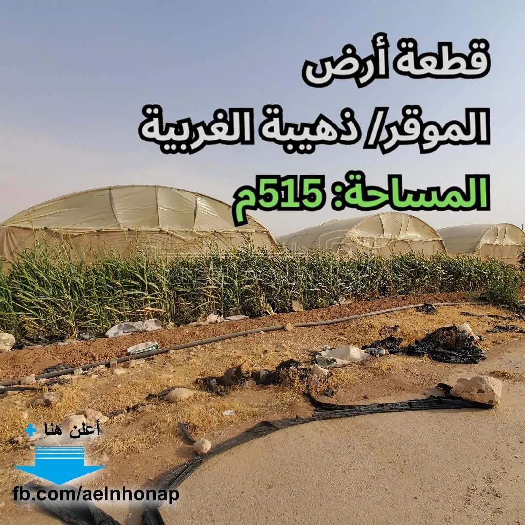أرض في الموقر/ ذهيبة الغربية - تبعد 600م عن شارع المية - 55,000 دأ - صورة 1