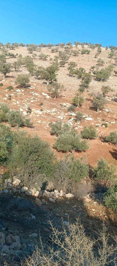 أرض في خشيبة  - 60,000 دأ - صورة 1