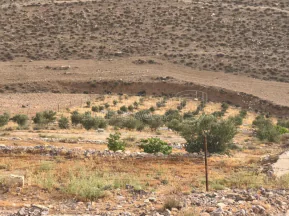 أرض في الكرك كمنه - 16,000 دأ - صورة NaN