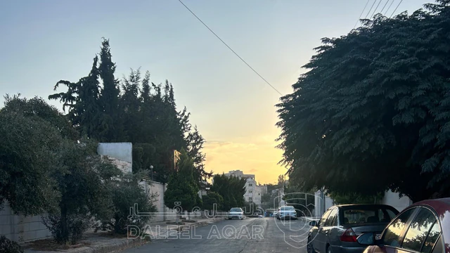 فيلا/منزل في عمان الجويده ش.عامر الشعبي قرب مدرسة البحث العلمي - 95,000 دأ - صورة NaN