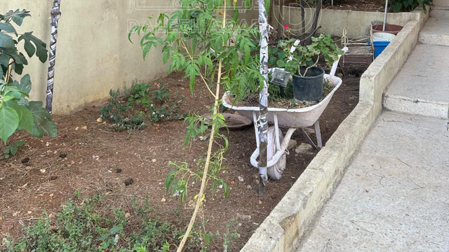 فيلا/منزل في عمان الجويده ش.عامر الشعبي قرب مدرسة البحث العلمي - 95,000 دأ - صورة NaN