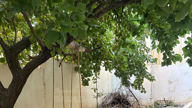 فيلا/منزل في عمان الجويده ش.عامر الشعبي قرب مدرسة البحث العلمي - 95,000 دأ - صورة NaN