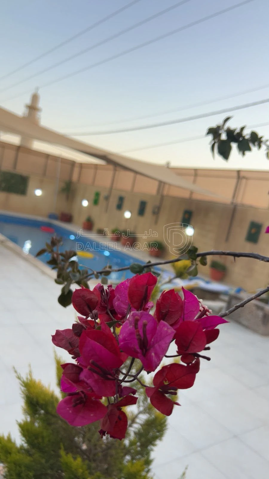 مزرعة/شاليه في طريق المطار الجيزة - 80,000 دأ - صورة 18