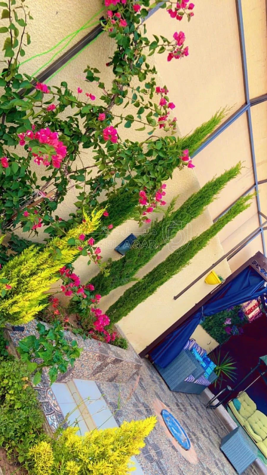 مزرعة/شاليه في طريق المطار الجيزة - 80,000 دأ - صورة 12
