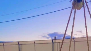 مزرعة/شاليه في طريق المطار الجيزة - 80,000 دأ - صورة NaN