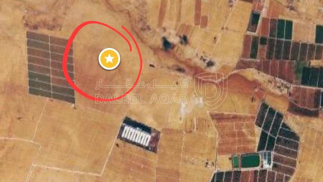 أرض في  المفرق - سما السرحان - رباع - 35,000 دأ - صورة 1
