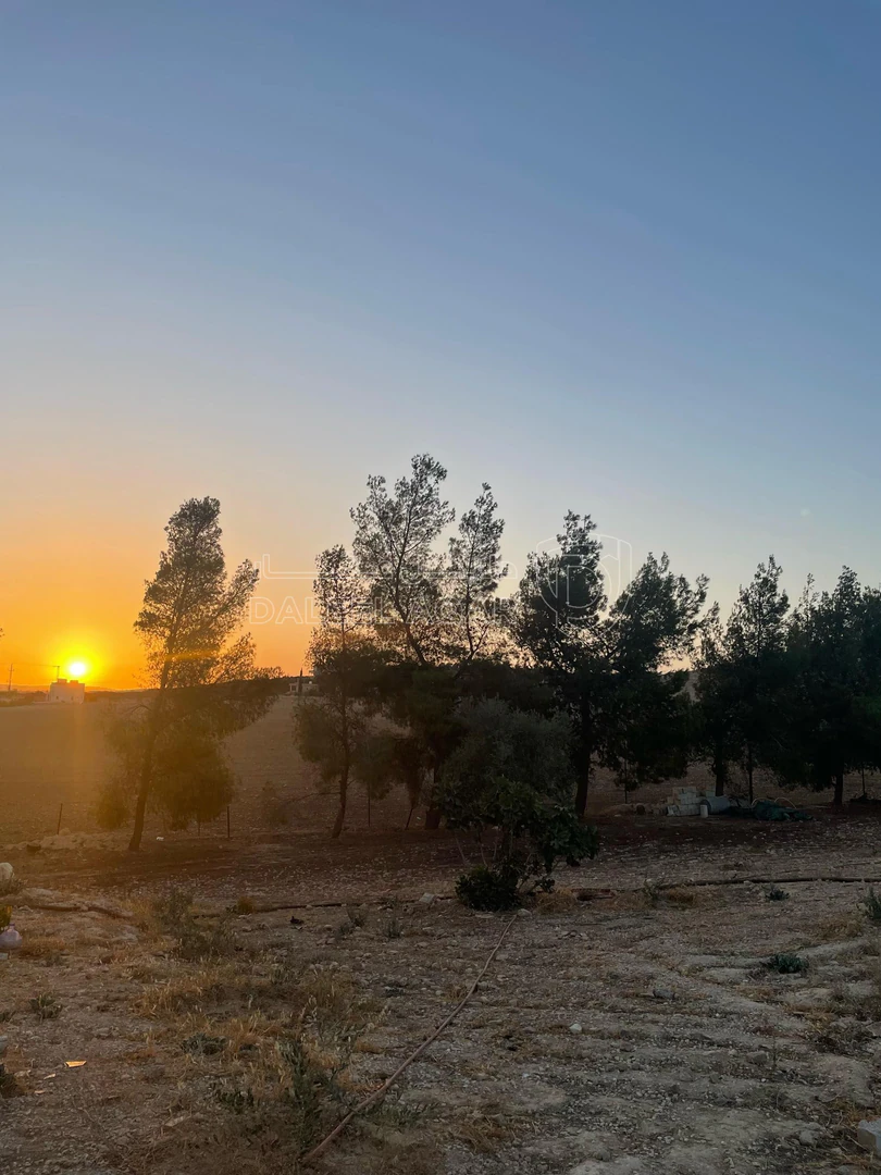 مزرعة/شاليه في مادبا /مليح  - 125,000 دأ - صورة 1