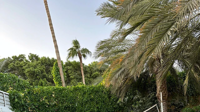مزرعة/شاليه في الشونة الجنوبية بجانب الجندي المحهول - 89,000 دأ - صورة NaN