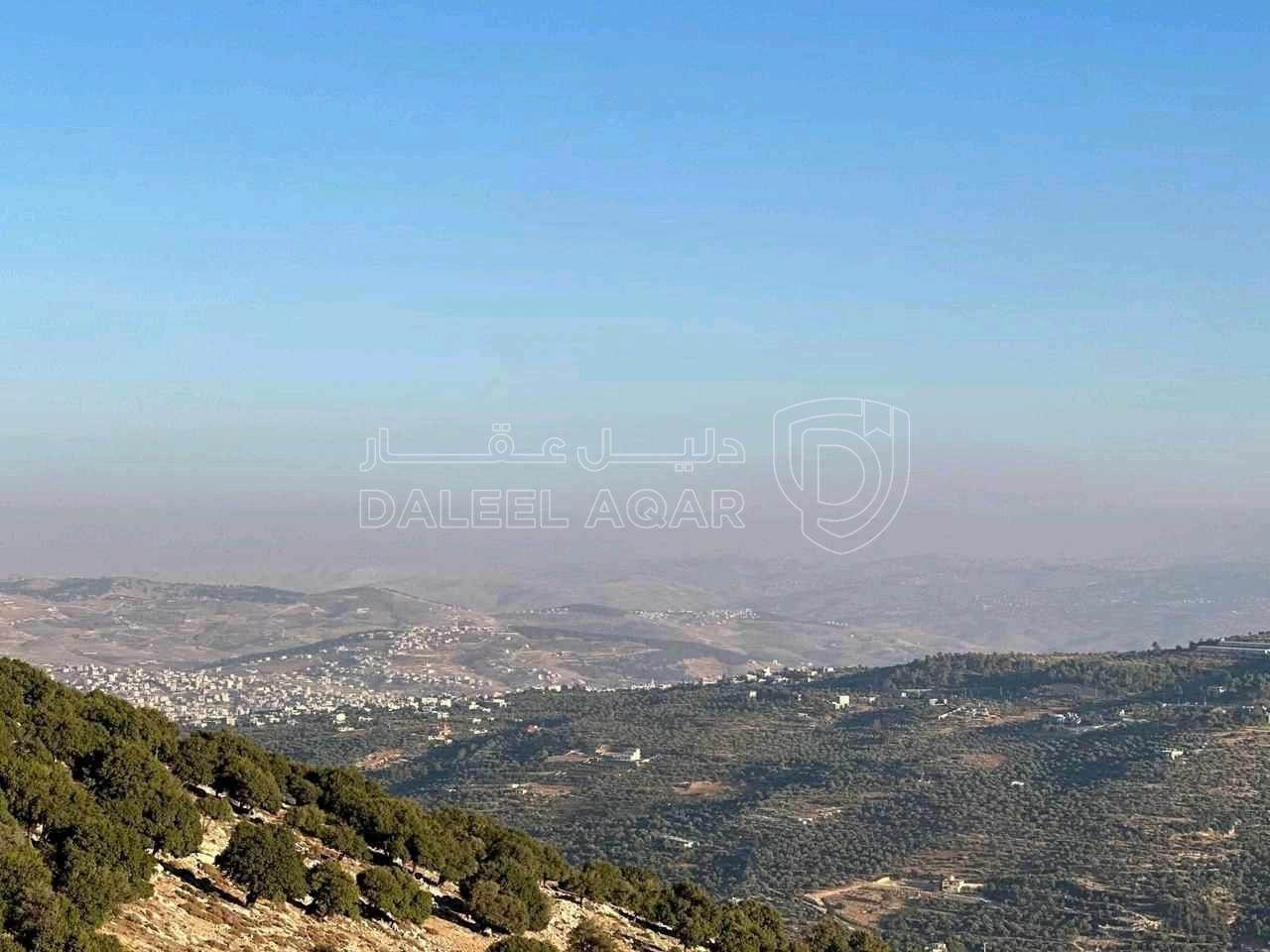أرض في جرش / سوف - 240,000 دأ - صورة 1