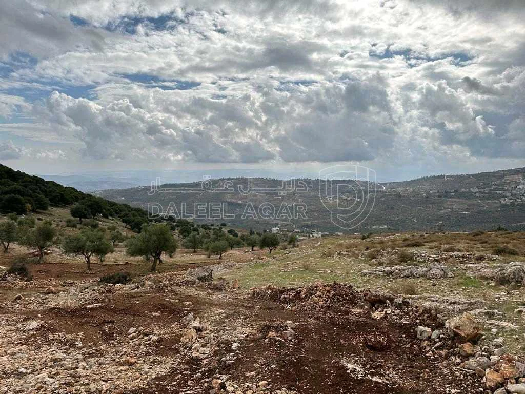 أرض في جرش / سوف - 240,000 دأ - صورة 1