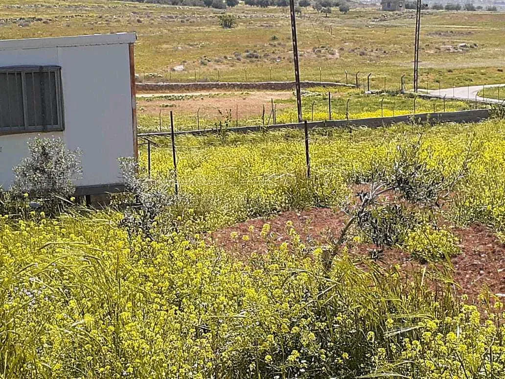 مزرعة/شاليه في طريق جرش المفرق ،شاليه مع مسبح  - 120,500 دأ - صورة 1