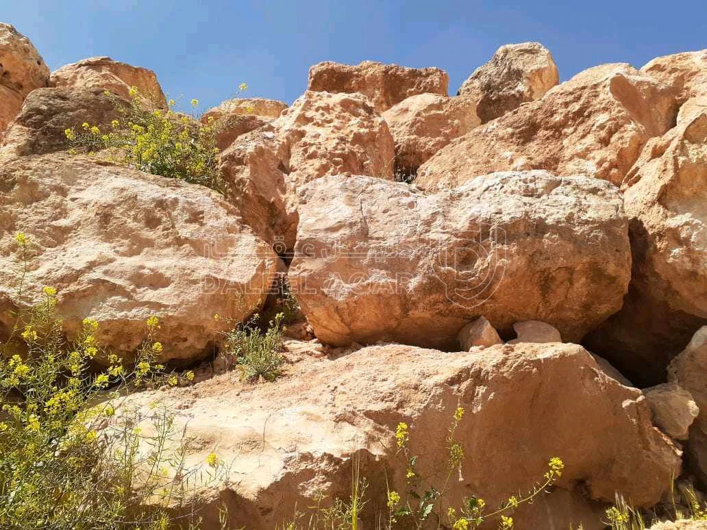 مزرعة/شاليه في طريق جرش المفرق ،شاليه مع مسبح  - 120,500 دأ - صورة 1