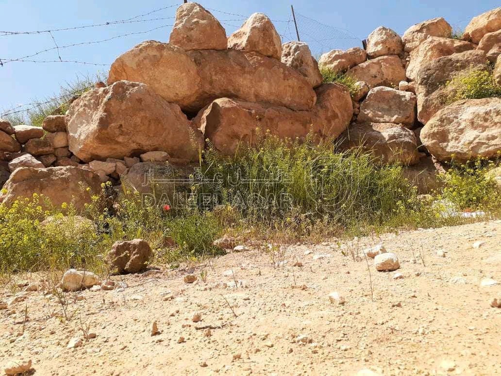 مزرعة/شاليه في طريق جرش المفرق ،شاليه مع مسبح  - 120,500 دأ - صورة 1