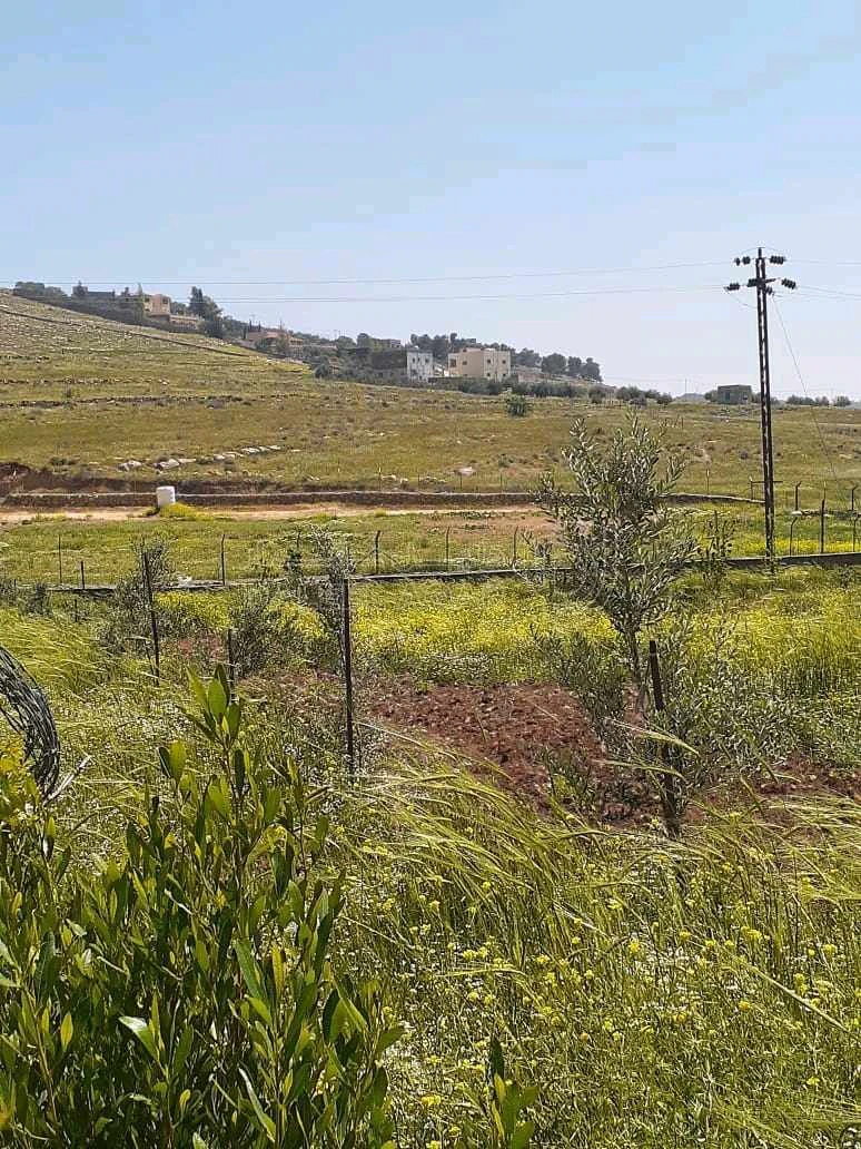 مزرعة/شاليه في طريق جرش المفرق ،شاليه مع مسبح  - 120,500 دأ - صورة 1