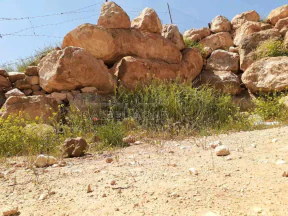 مزرعة/شاليه في طريق جرش المفرق ،شاليه مع مسبح  - 120,500 دأ - صورة NaN