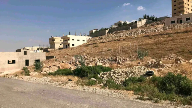أرض - جريبا - 16000 دأ