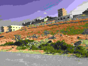أرض في جريبا - 16,000 دأ - صورة NaN