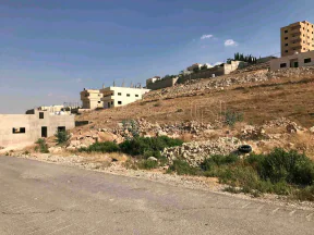 أرض - جريبا - 16000 دأ