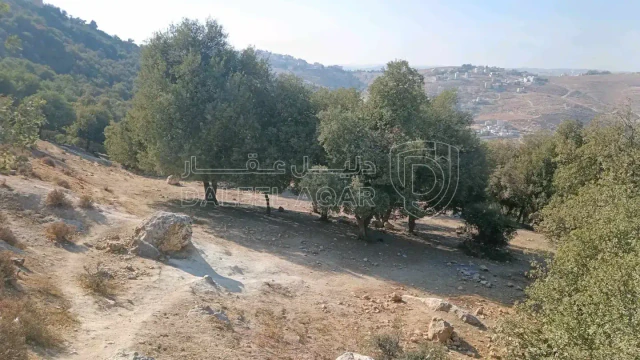 أرض - عمان الكمالية  - 370000 دأ