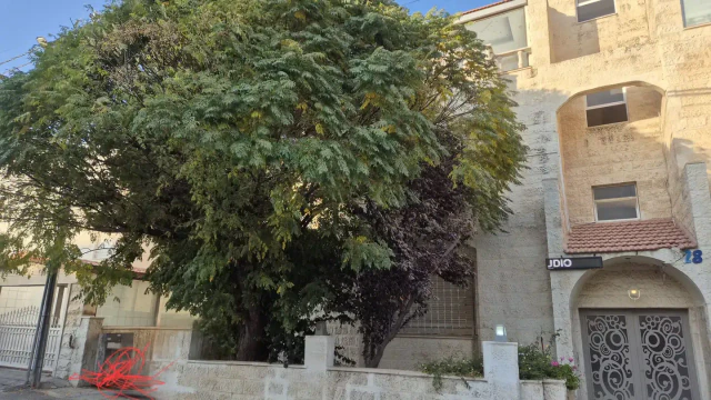 شقة - عبدون شارع إبراهيم الحاج حسن - 180000 دأ