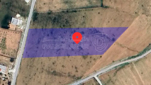 أرض في مادبا - ذيبان - الذهيبة - 60,000 دأ - صورة 1