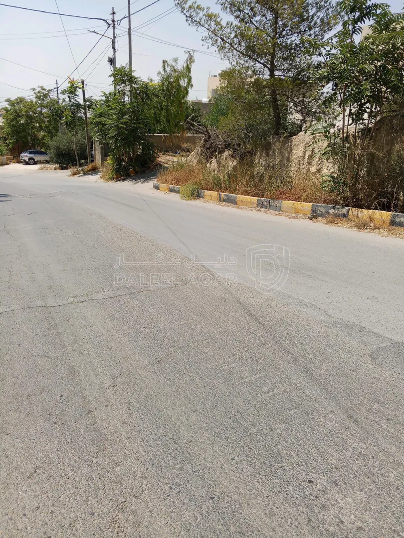 أرض في 722م سكن ج ناعور وادي الكبرى بسعر مغري - 70,000 دأ - صورة 13