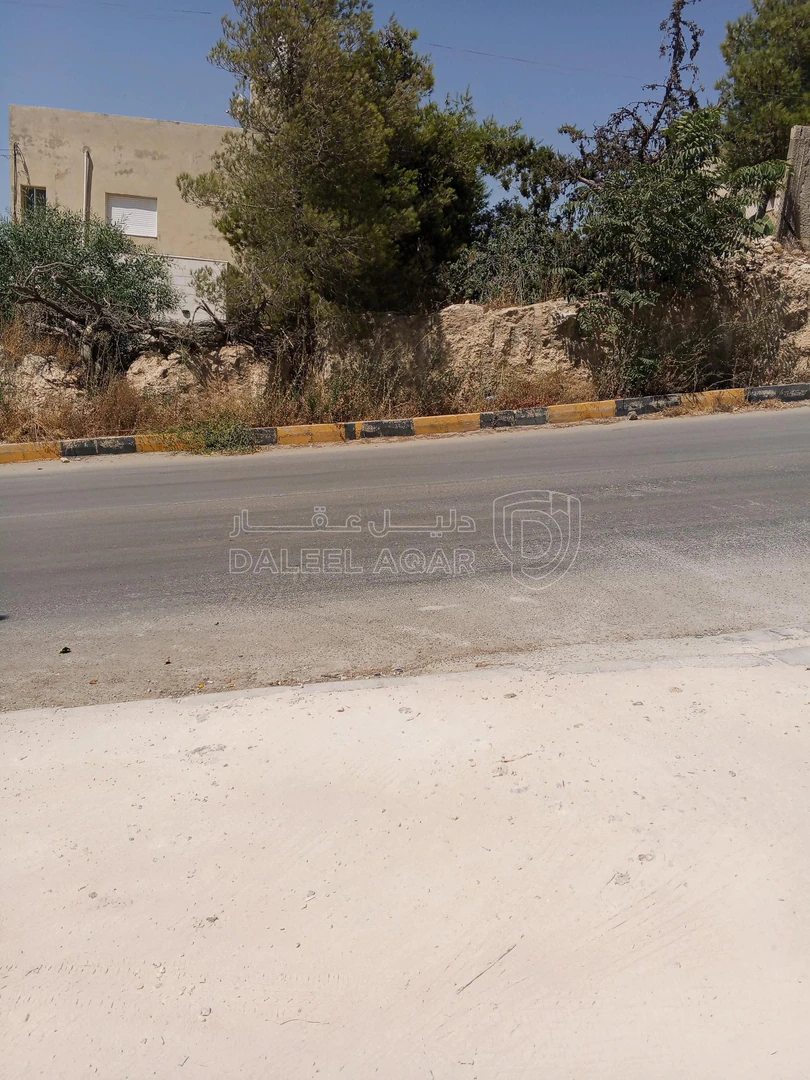 أرض في 722م سكن ج ناعور وادي الكبرى بسعر مغري - 70,000 دأ - صورة 4