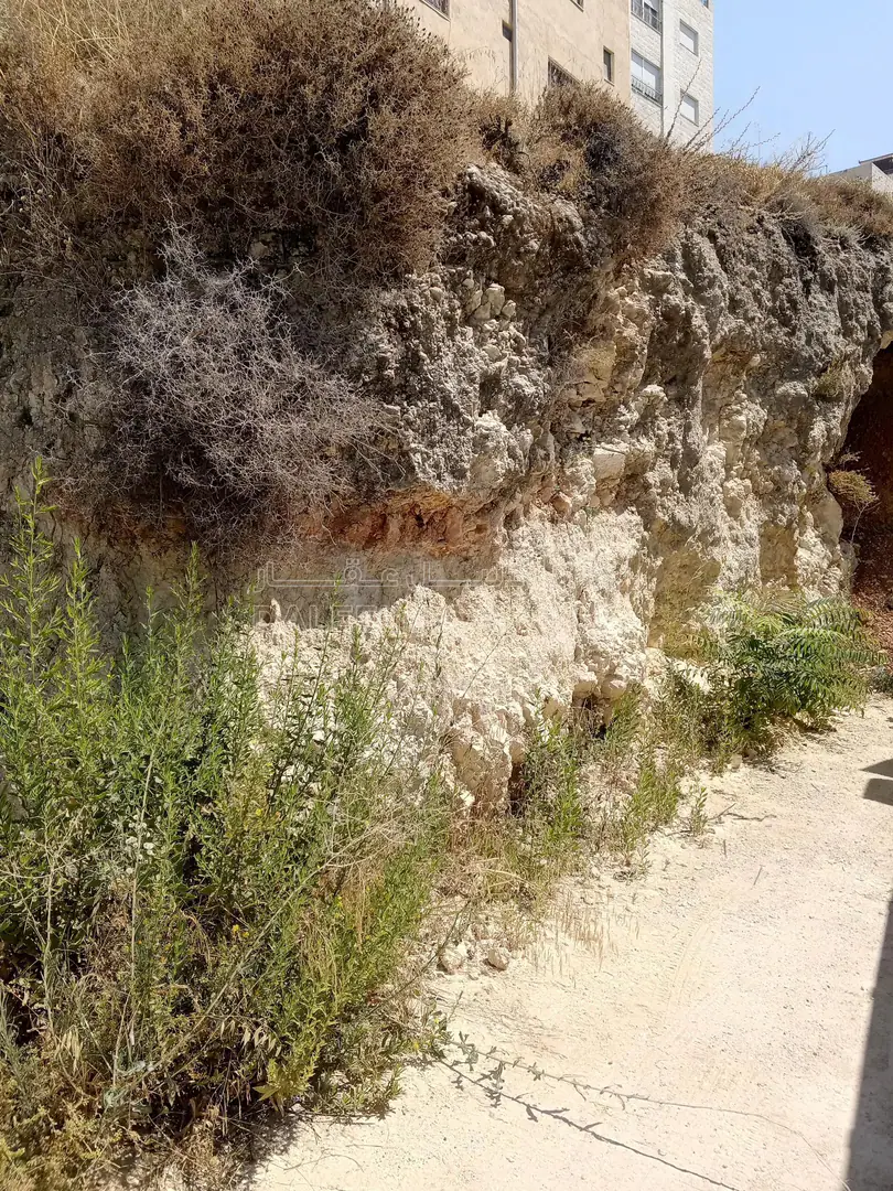 أرض في 722م سكن ج ناعور وادي الكبرى بسعر مغري - 70,000 دأ - صورة 10