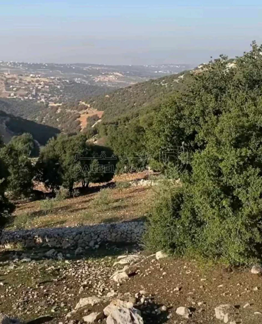 أرض في الزعتري - 140,000 دأ - صورة 1