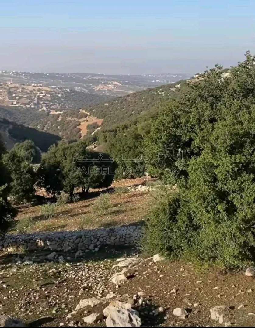 أرض في الزعتري - 140,000 دأ - صورة 1