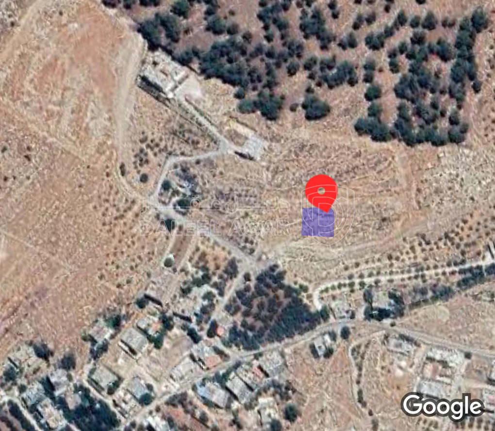 أرض في عين الباشا - 50,000 دأ - صورة 1