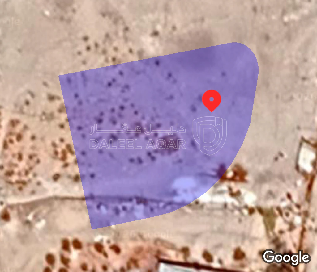 أرض في عمان طريق المطار الحجرة - 50,000 دأ - صورة 1