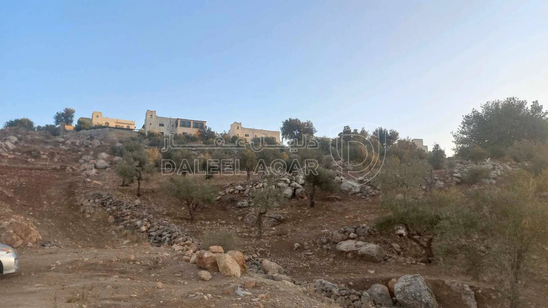 أرض في شارع الاردن خلف جامعه عمان العربيه  - 60,000 دأ - صورة 6
