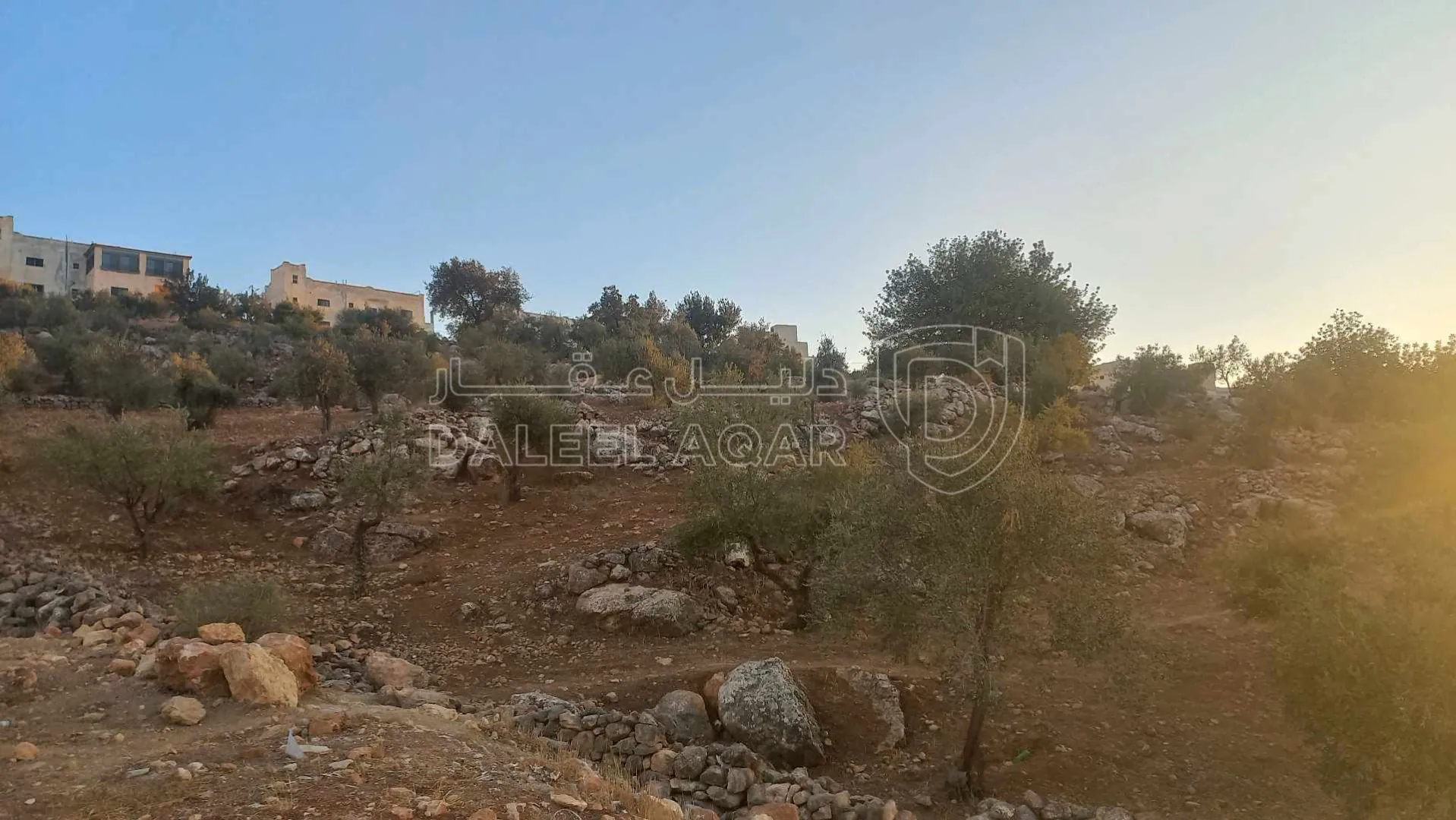 أرض في شارع الاردن خلف جامعه عمان العربيه  - 60,000 دأ - صورة 5