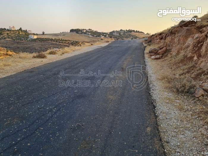 أرض في ام عبهره تبعد ٦ د عن دوار البرديني - 92,000 دأ - صورة 1