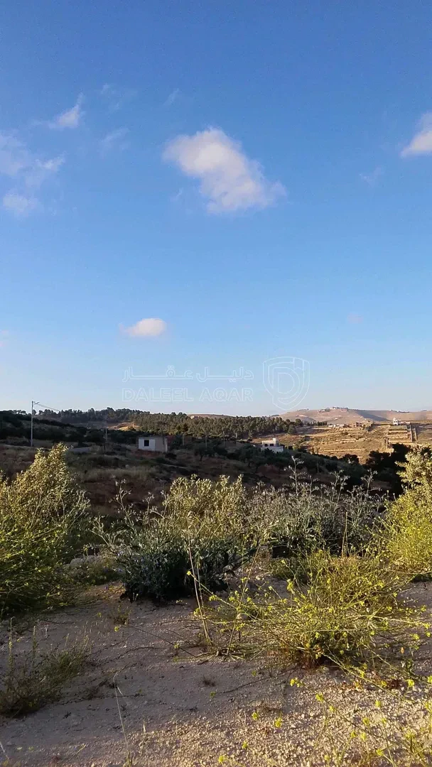 أرض في قطعتين ارض كل قطعه بقوشان المساحة الإجمالية8,535.8 - 85,000 دأ - صورة 1