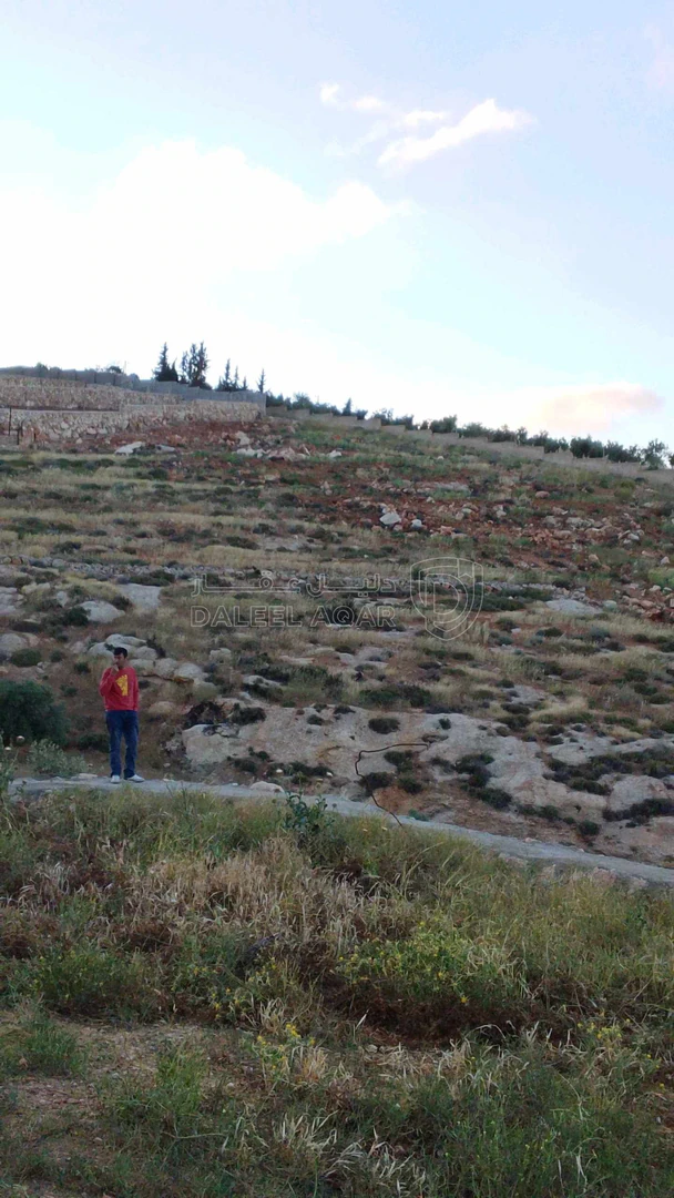 أرض في قطعتين ارض كل قطعه بقوشان المساحة الإجمالية8,535.8 - 85,000 دأ - صورة 1