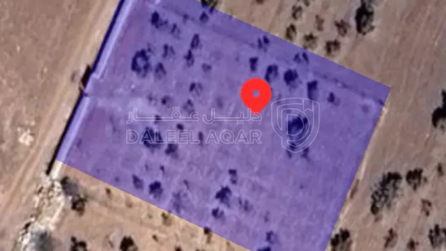 أرض في ام البساتين قرب إسكان المنهدسين  - 95,000 دأ - صورة 1